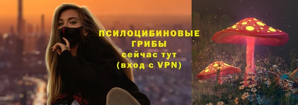 прущая мука Елизово