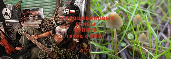прущая мука Елабуга