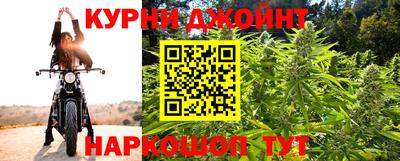 прущие крисы Бийск