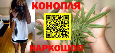 a pvp Аргун