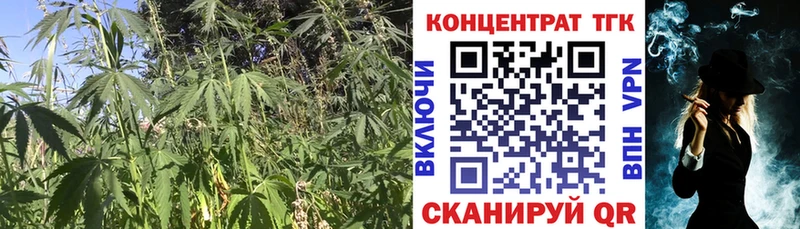 ТГК THC oil  mega как зайти  Всеволожск  как найти закладки 