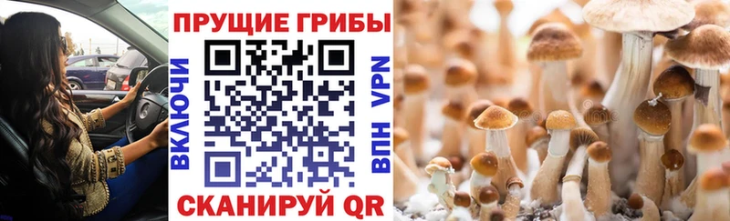 Галлюциногенные грибы ЛСД кракен Всеволожск магазин продажи наркотиков
