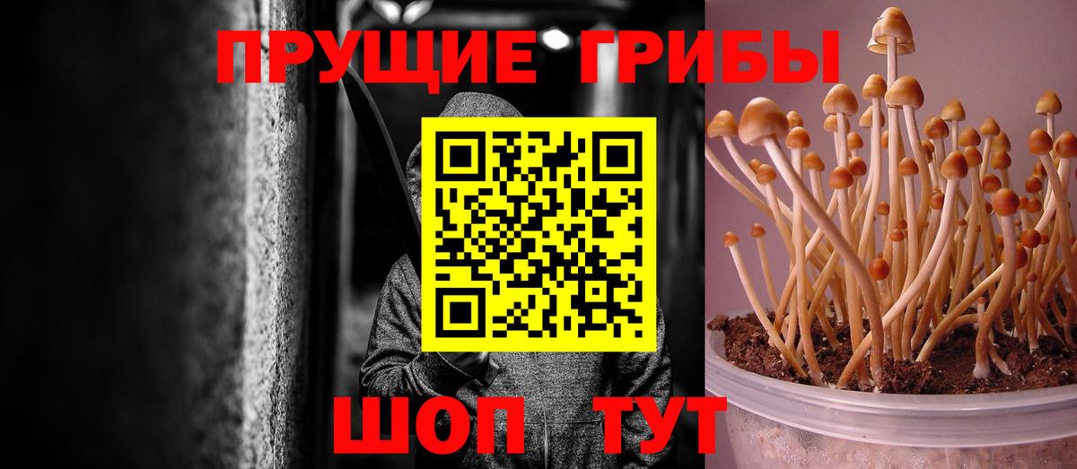 Псилоцибиновые грибы Magic Shrooms  Всеволожск  Галлюциногенные грибы ЛСД 